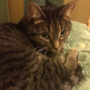 Meet your Posher, Remi